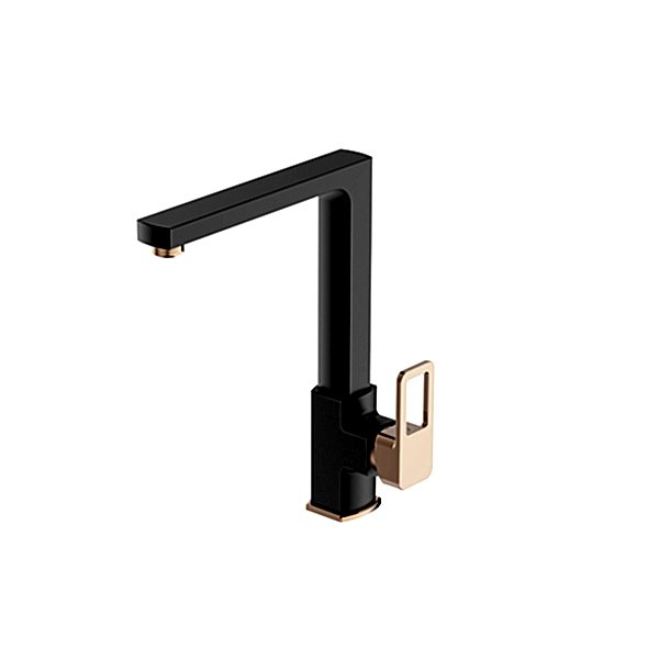 BIEN SALVO PLUS EVIYE BATARYASI (SIYAH-ROSE GOLD)